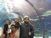 "المستقبل لهذا الدين" قطوف دانية 17 للشيخ أحمد محمد أبو عجوة